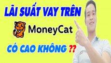 Lãi Suất Vay Trên MoneyCat Có Cao Không - (Vay Tiền Online)