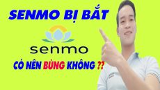 Senmo Bị Bắt | App Vay Tiền Senmo Bị Sập - (Vay Tiền Online)
