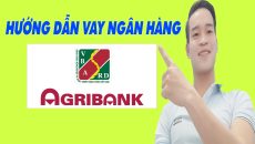 Hướng Dẫn Vay Ngân Hàng Agribank Đơn Giản Nhất - (Vay Tiền Online)