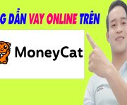 Hướng Dẫn Vay Online Trên MoneyCat - (Vay Tiền Online)