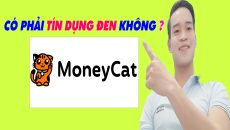 MoneyCat Có Phải Tín Dụng Đen Không - (Vay Tiền Online)