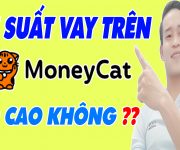 Lãi Suất Vay Trên MoneyCat Có Cao Không - (Vay Tiền Online)