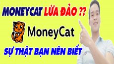 MoneyCat Lừa Đảo Sự Thật Bạn Cần Nên Biết - (Vay Tiền Online)