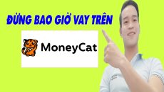 Đừng Bao Giờ Vay Tiền Trên MoneyCat - (Vay Tiền Online)