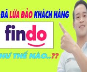 Findo Đã Lừa Đảo Khàng Như Thế Nào - (Vay Tiền Online)