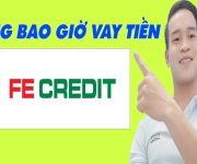 Đừng Bao Giờ Vay Tiền Trên FE Credit - (Vay Tiền Online)