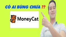 Có Ai Bùng Nợ MoneyCat Chưa - (Vay Tiền Online)