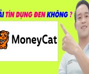 MoneyCat Có Phải Tín Dụng Đen Không - (Vay Tiền Online)