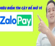 Bao Nhiêu Điểm Tín Cậy Để Mở Ví Trả Sau ZaloPay - (Vay Tiền Online)