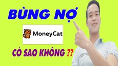 Bùng Nợ MoneyCat | Có Nên Bùng Nợ MoneyCat Không - (Vay Tiền Online)