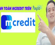 Cách Thanh Toán Khoản Vay Mcredit Trên Payoo - (Vay Tiền Online)